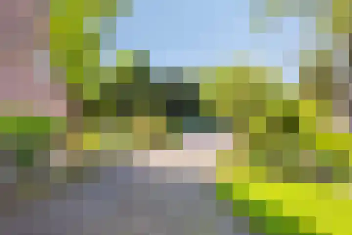 Groenendael 202 IJsselmuiden thumbnail 7