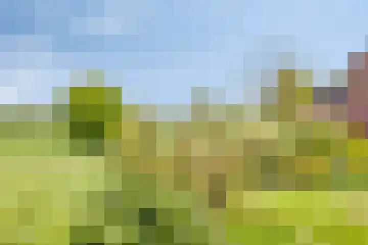 Groenendael 202 IJsselmuiden thumbnail 70