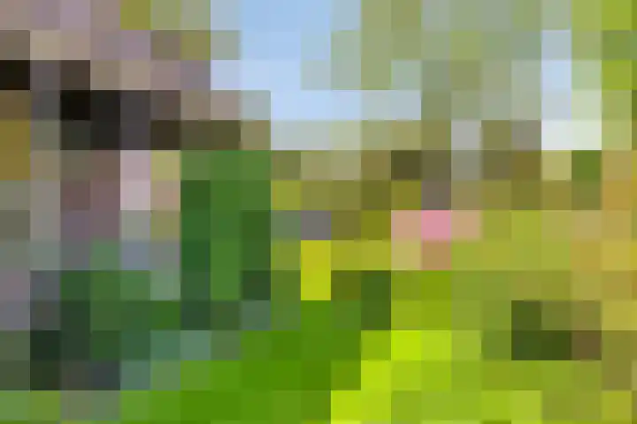 Groenendael 202 IJsselmuiden thumbnail 71