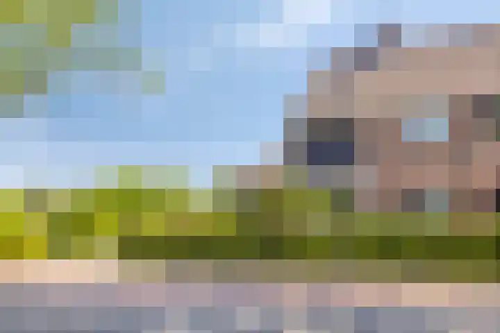 Groenendael 202 IJsselmuiden thumbnail 72