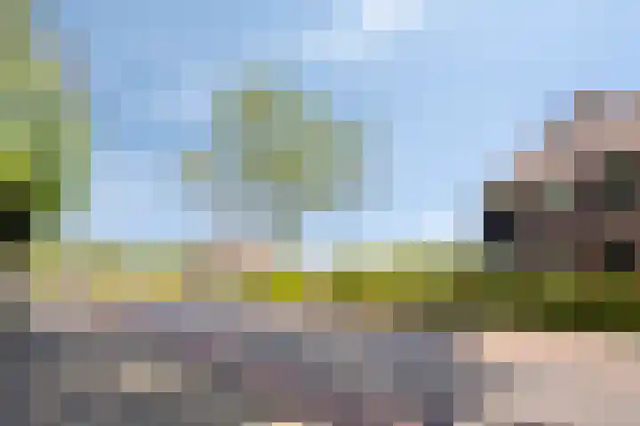 Groenendael 202 IJsselmuiden thumbnail 73