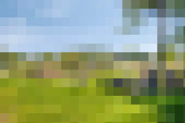 Groenendael 202 IJsselmuiden thumbnail 75