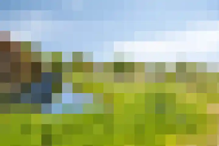 Groenendael 202 IJsselmuiden thumbnail 76