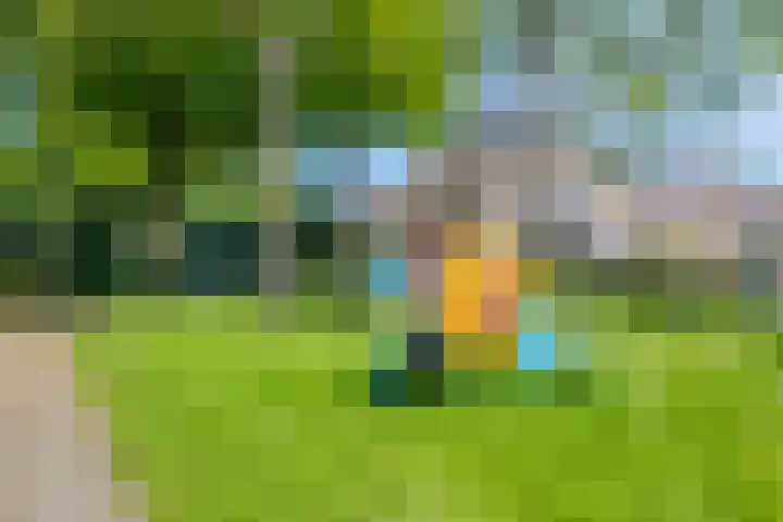 Groenendael 202 IJsselmuiden thumbnail 77