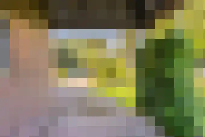 Groenendael 202 IJsselmuiden thumbnail 9