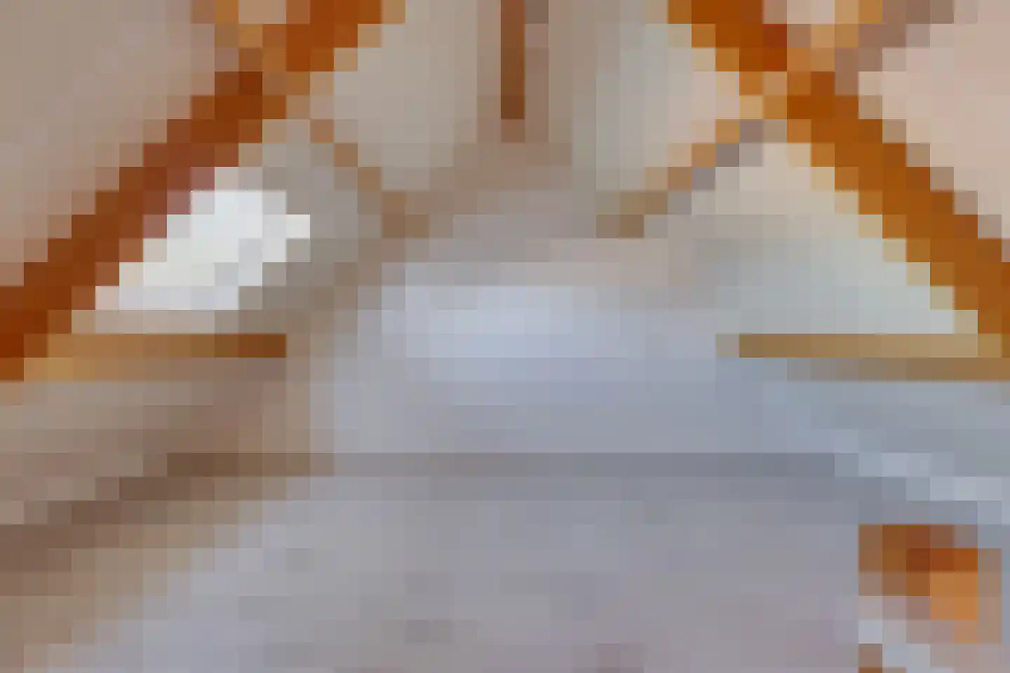 Groenendael 221 IJsselmuiden thumbnail 36