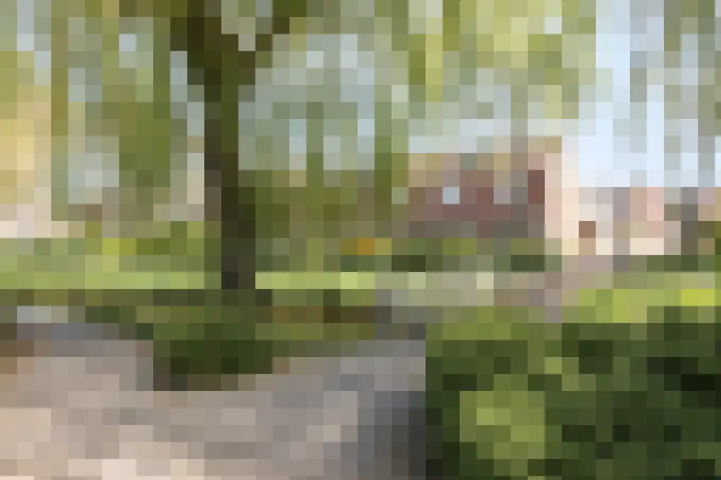 Groenendael 43 IJsselmuiden thumbnail 44