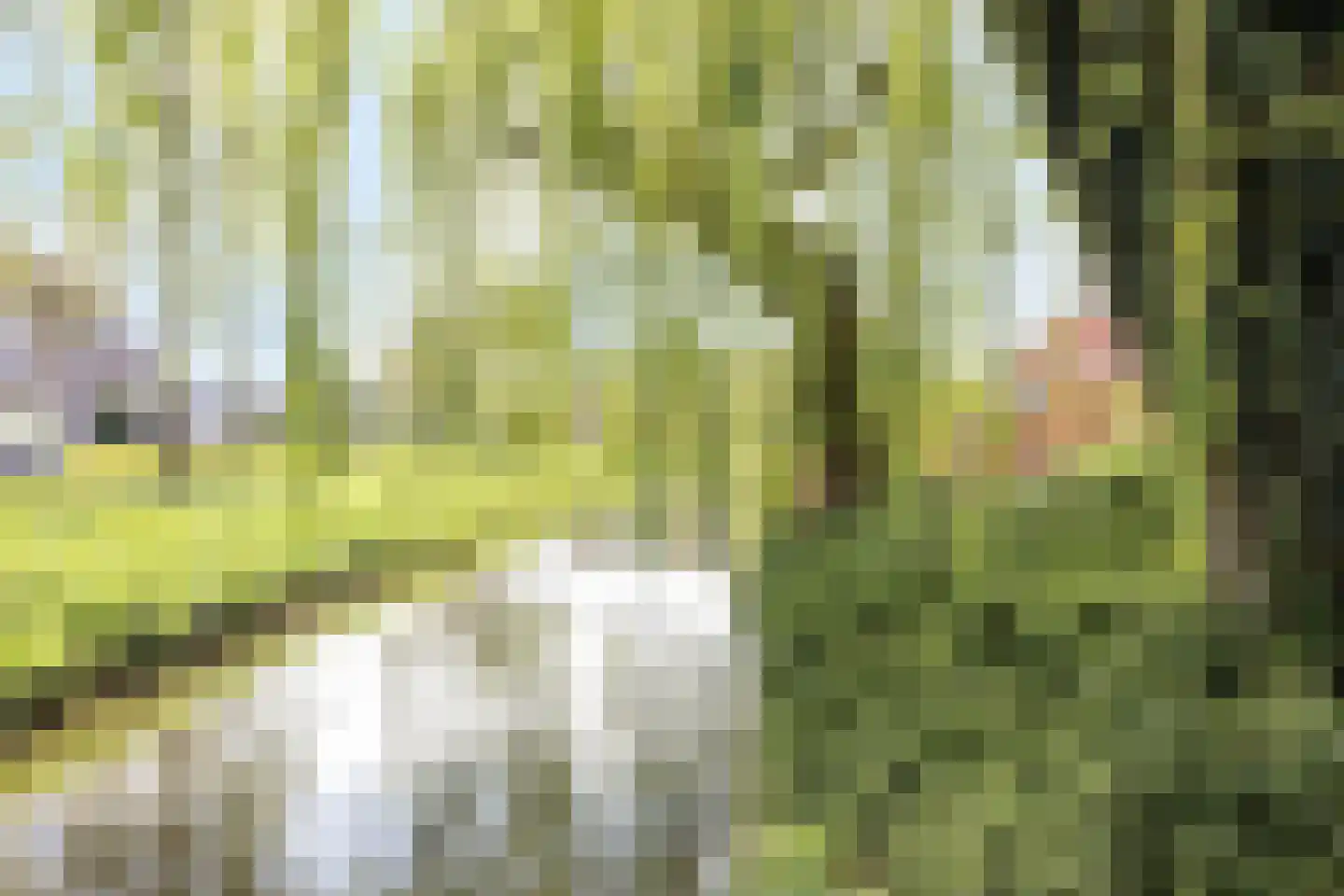 Groenendael 43 IJsselmuiden thumbnail 46
