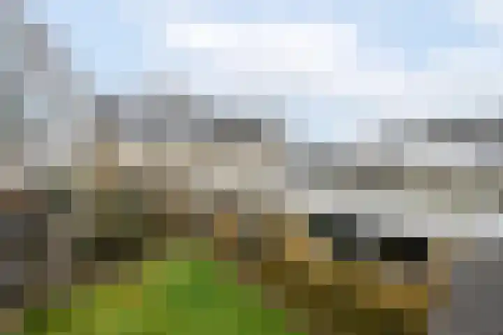 Groenendal 3 Sint Nicolaasga thumbnail 33