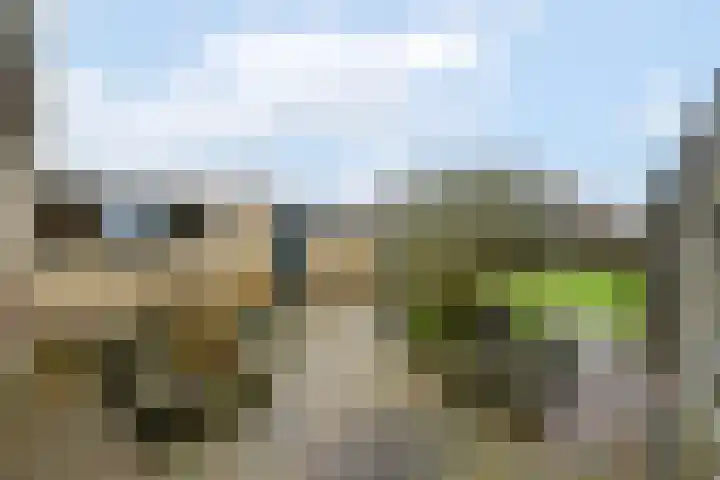 Groenendal 3 Sint Nicolaasga thumbnail 34
