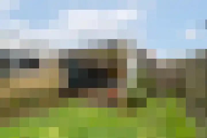 Groenendal 3 Sint Nicolaasga thumbnail 36