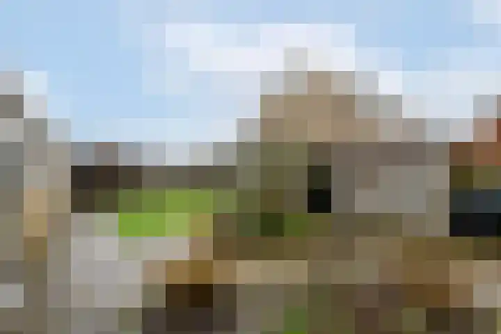 Groenendal 3 Sint Nicolaasga thumbnail 37
