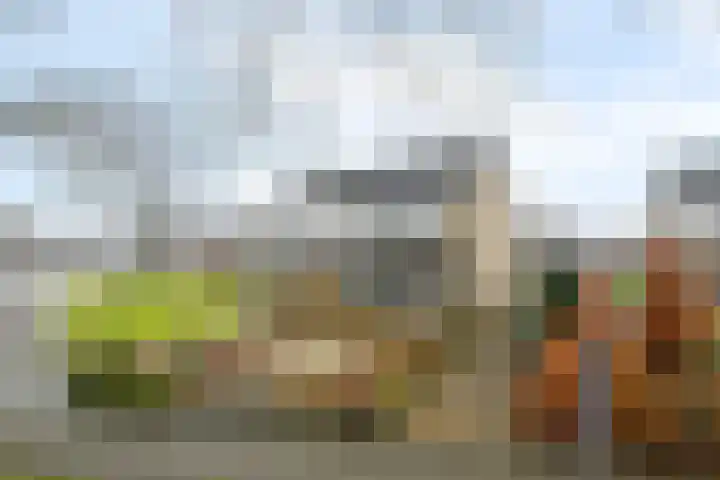 Groenendal 3 Sint Nicolaasga thumbnail 39