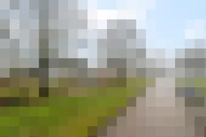 Groenendal 3 Sint Nicolaasga thumbnail 40