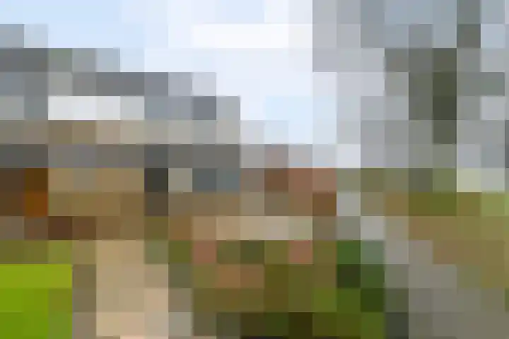 Groenendal 3 Sint Nicolaasga thumbnail 41