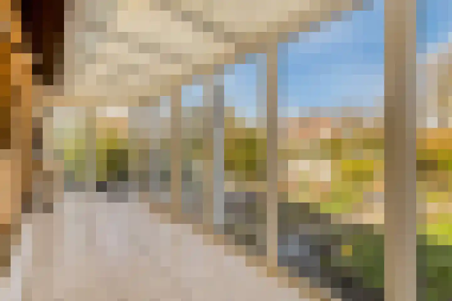 Groenendijk 102 Kloosterzande thumbnail 18