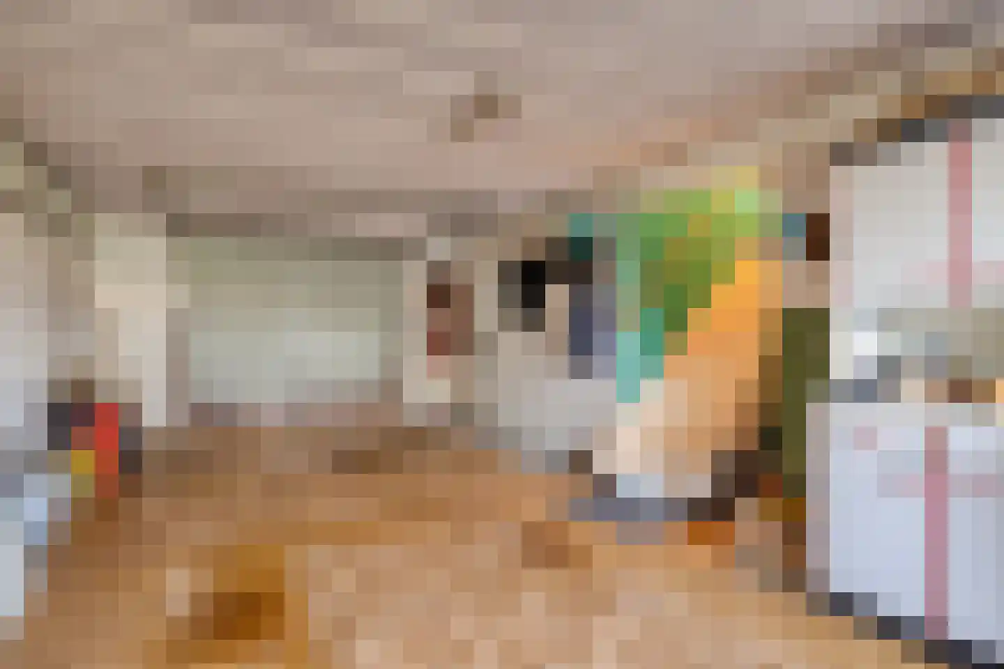 Groenendijk 102 Kloosterzande thumbnail 25