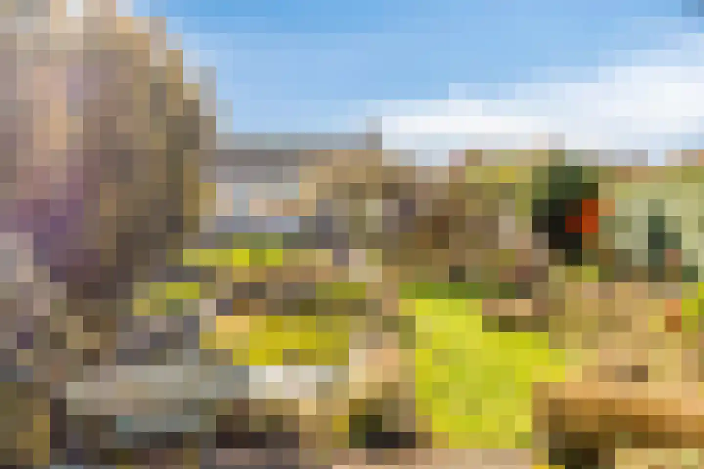 Groenendijk 102 Kloosterzande thumbnail 28
