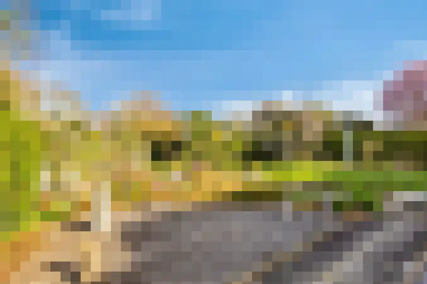 Groenendijk 102 Kloosterzande thumbnail 29