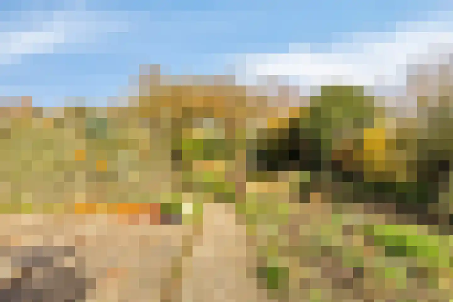 Groenendijk 102 Kloosterzande thumbnail 31