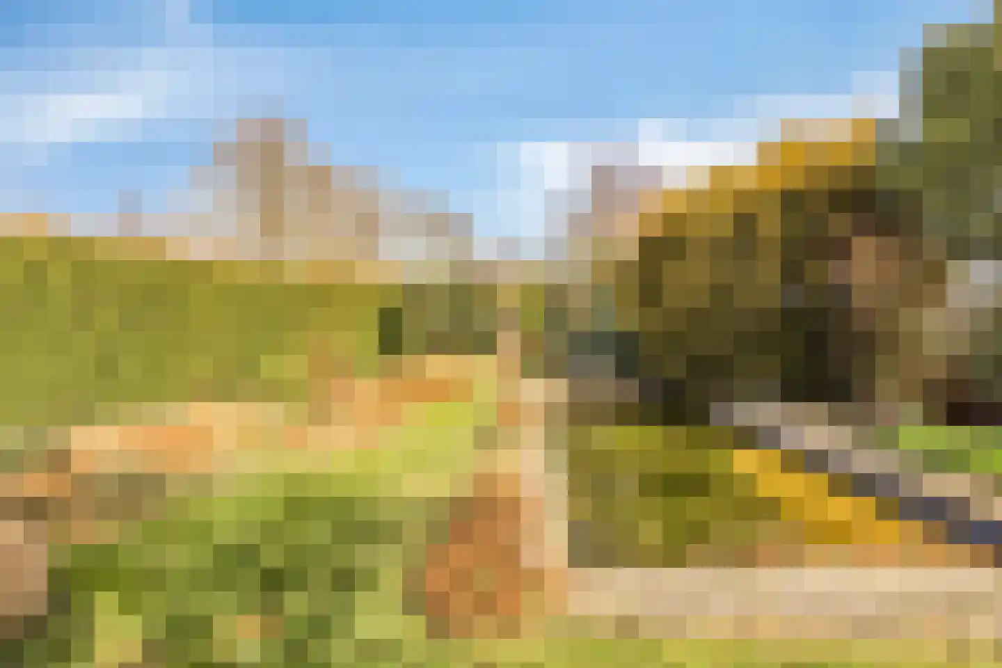 Groenendijk 102 Kloosterzande thumbnail 32