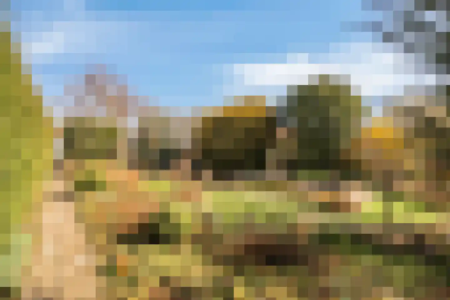 Groenendijk 102 Kloosterzande thumbnail 33