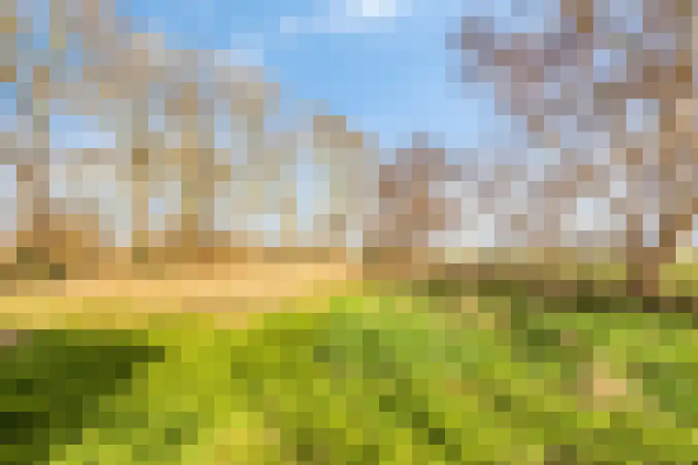 Groenendijk 102 Kloosterzande thumbnail 38