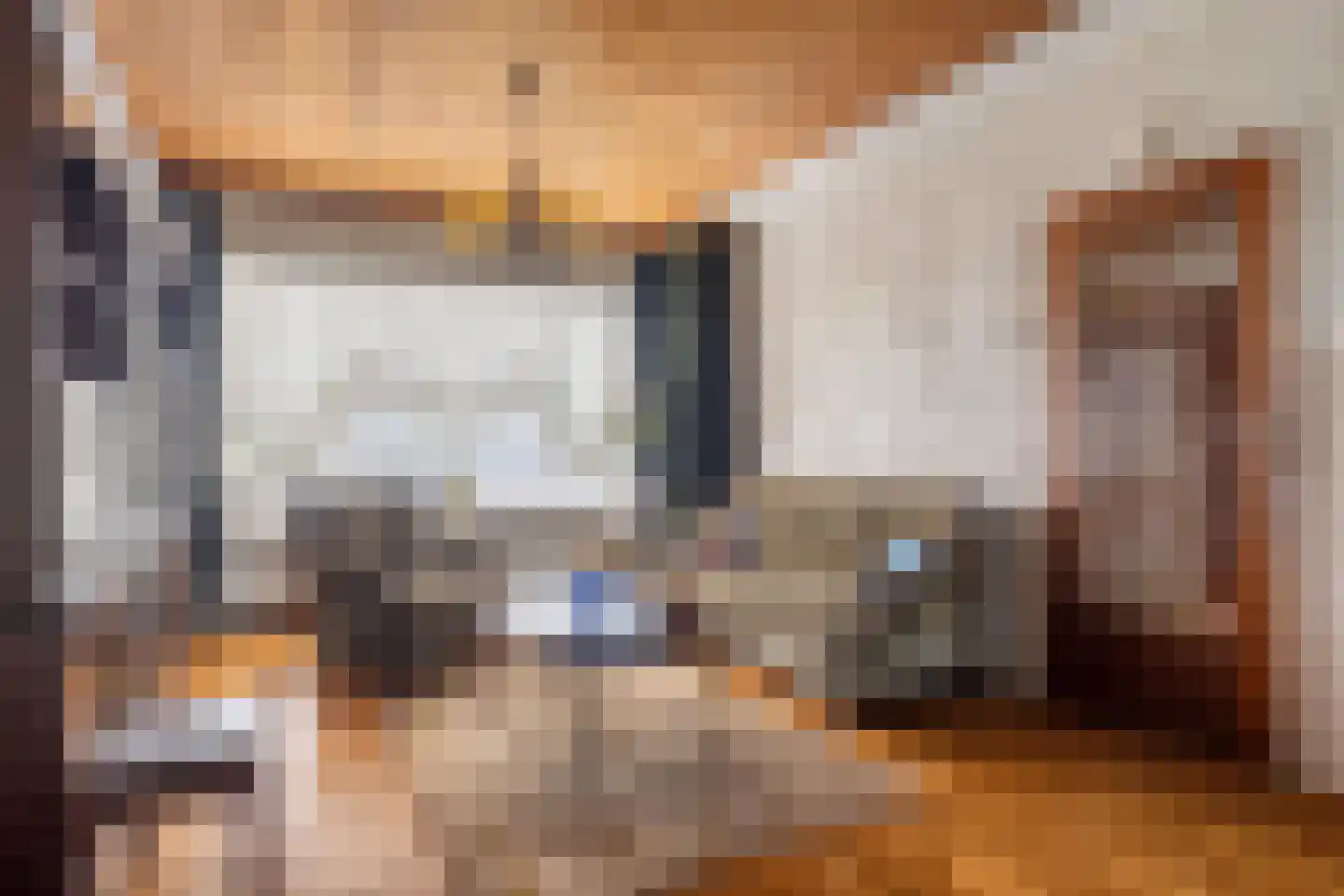 Groenendijk 102 Kloosterzande thumbnail 5