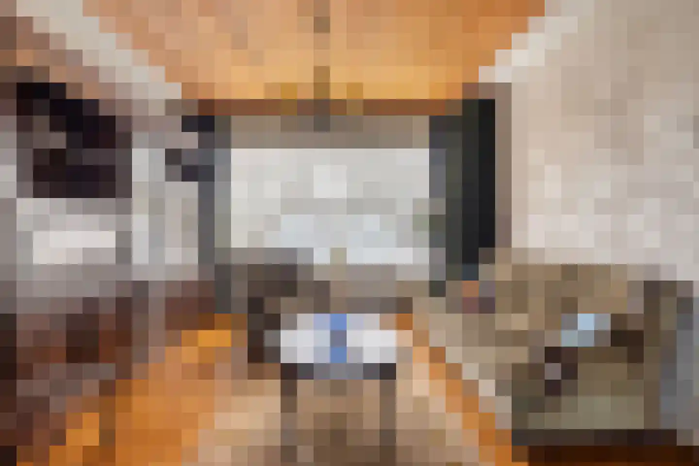 Groenendijk 102 Kloosterzande thumbnail 7