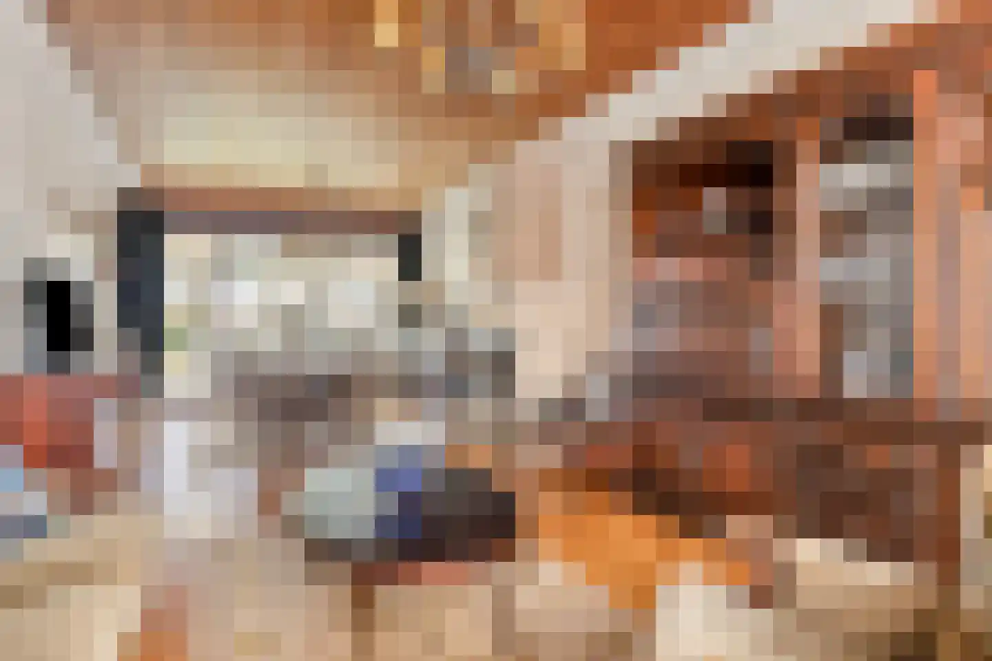 Groenendijk 102 Kloosterzande thumbnail 8