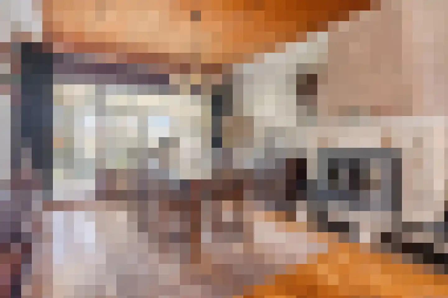 Groenendijk 102 Kloosterzande thumbnail 9