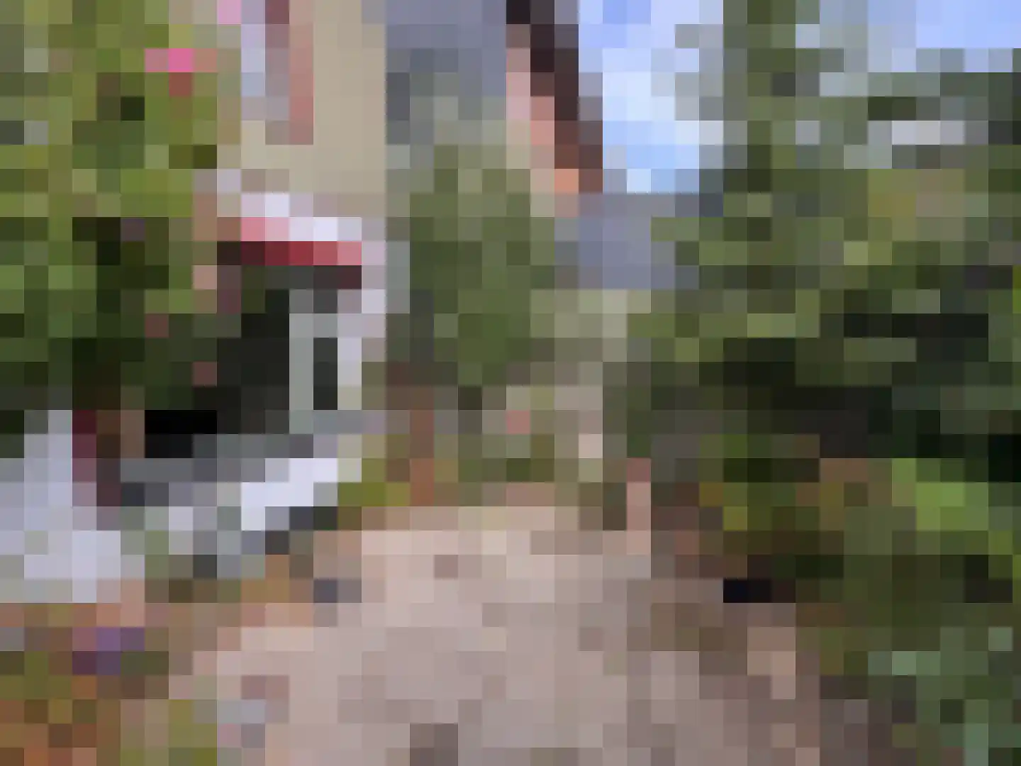 Groenendijk 109 Kloosterzande thumbnail 10