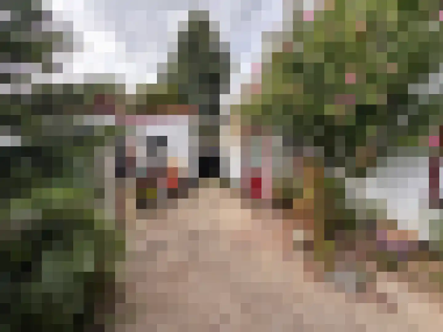 Groenendijk 109 Kloosterzande thumbnail 11