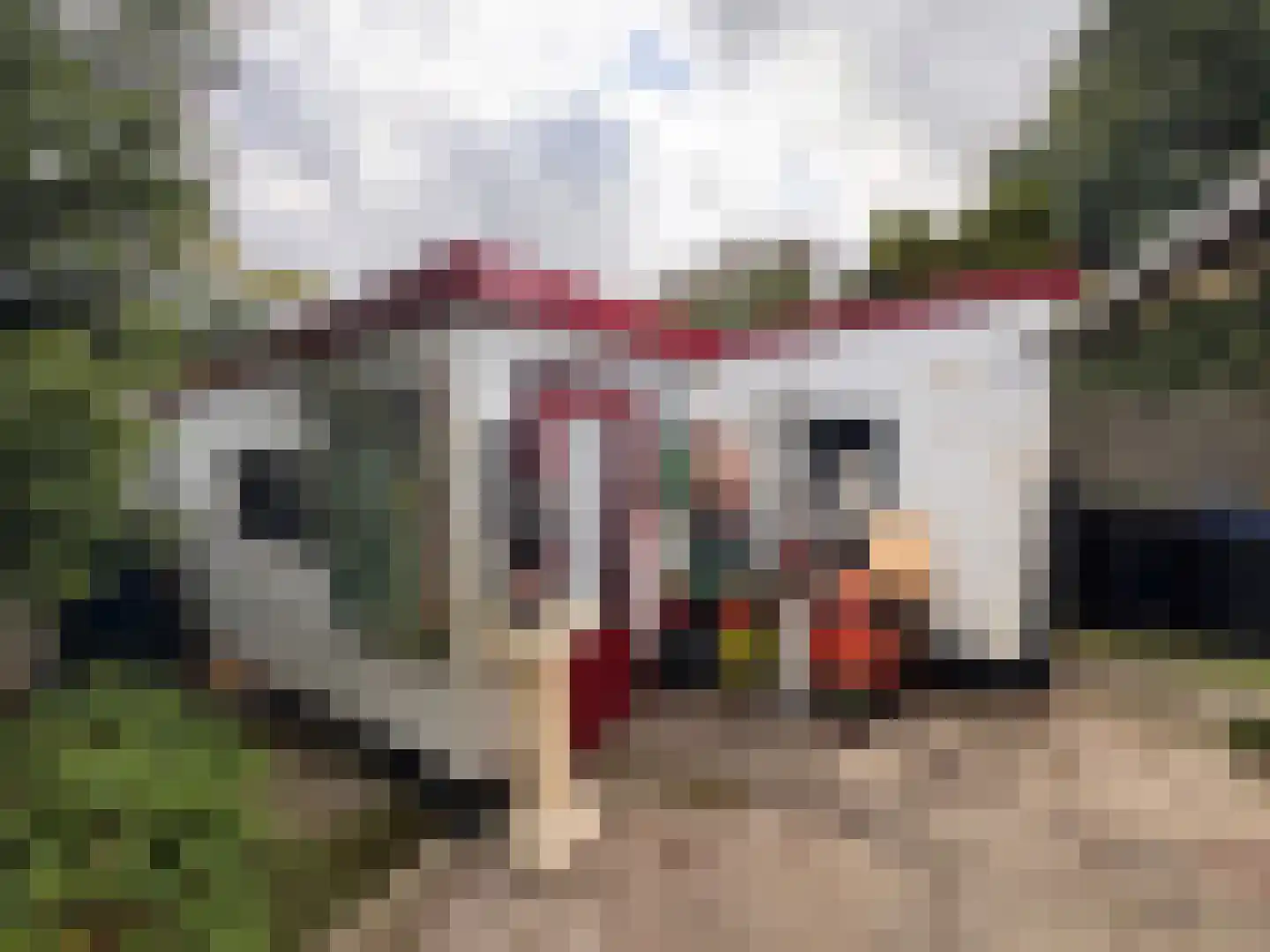 Groenendijk 109 Kloosterzande thumbnail 12