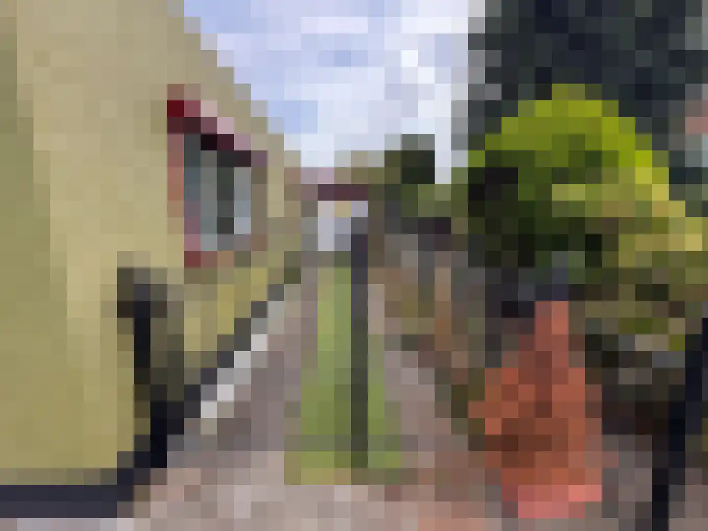 Groenendijk 109 Kloosterzande thumbnail 13