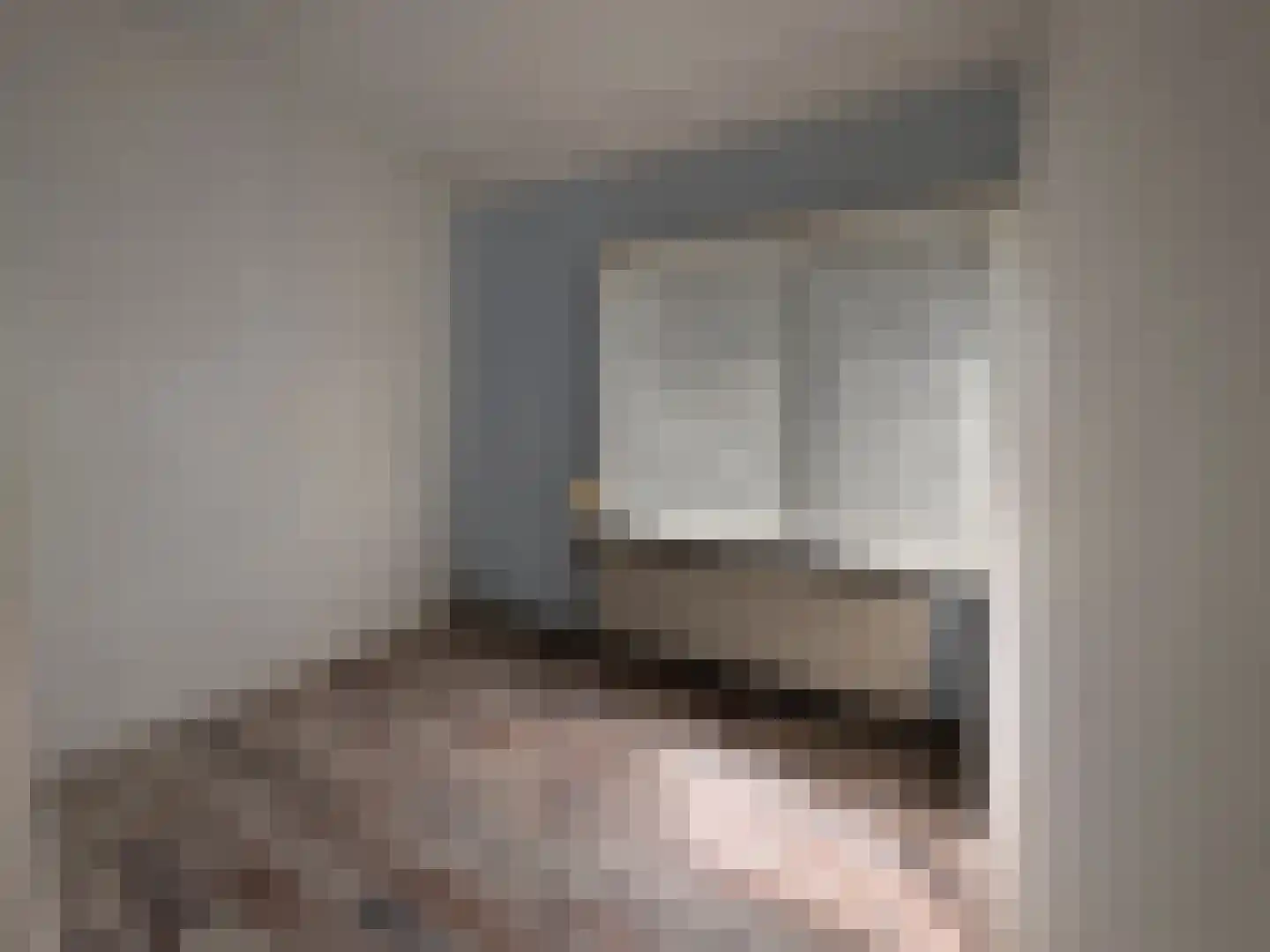 Groenendijk 109 Kloosterzande thumbnail 15