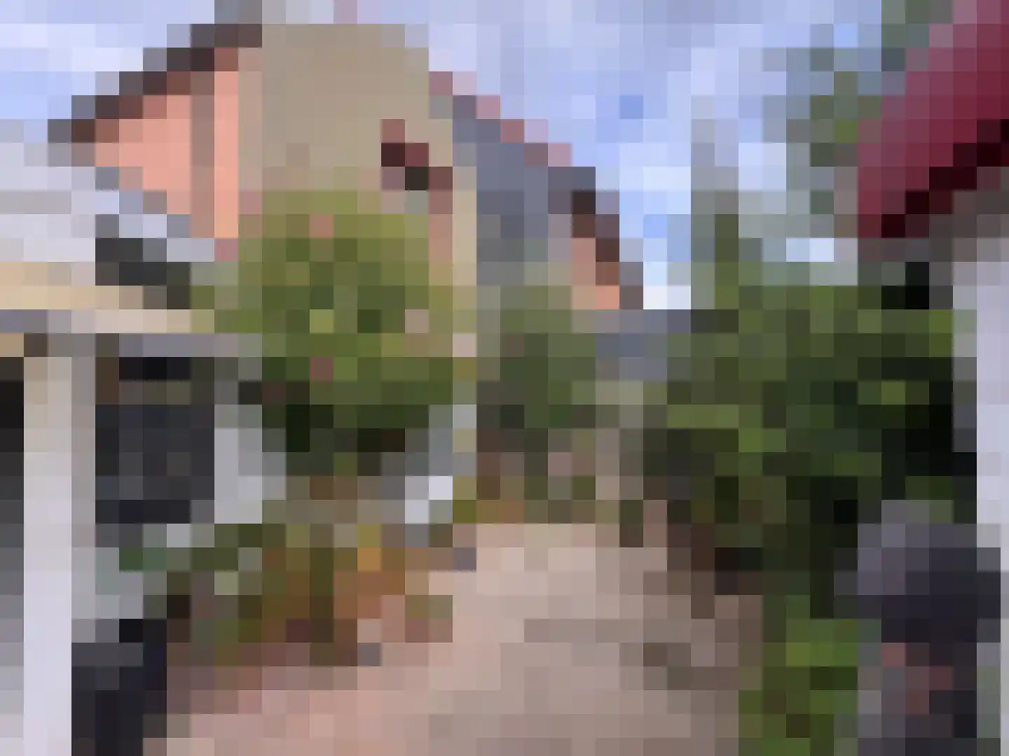 Groenendijk 109 Kloosterzande thumbnail 9