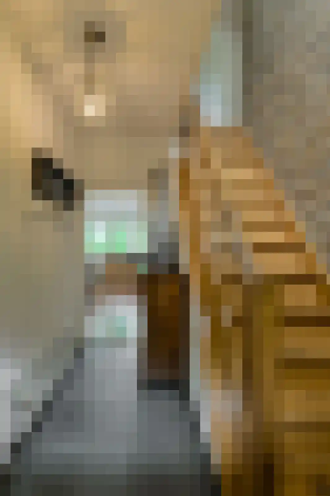 Groenendijk 19 Oosteind thumbnail 17