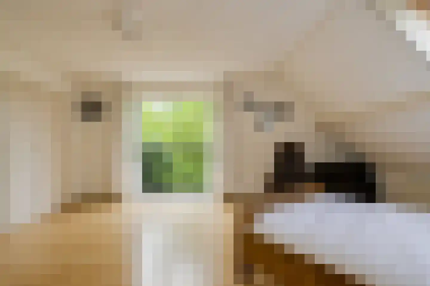 Groenendijk 19 Oosteind thumbnail 20