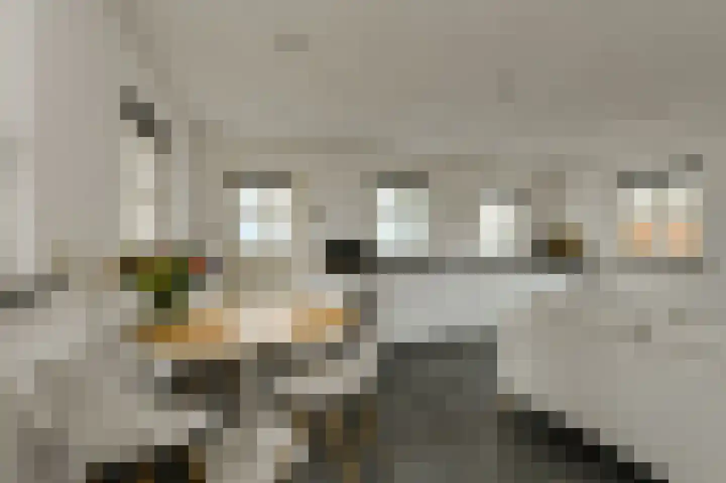 Groenendijk 19 Oosteind thumbnail 32