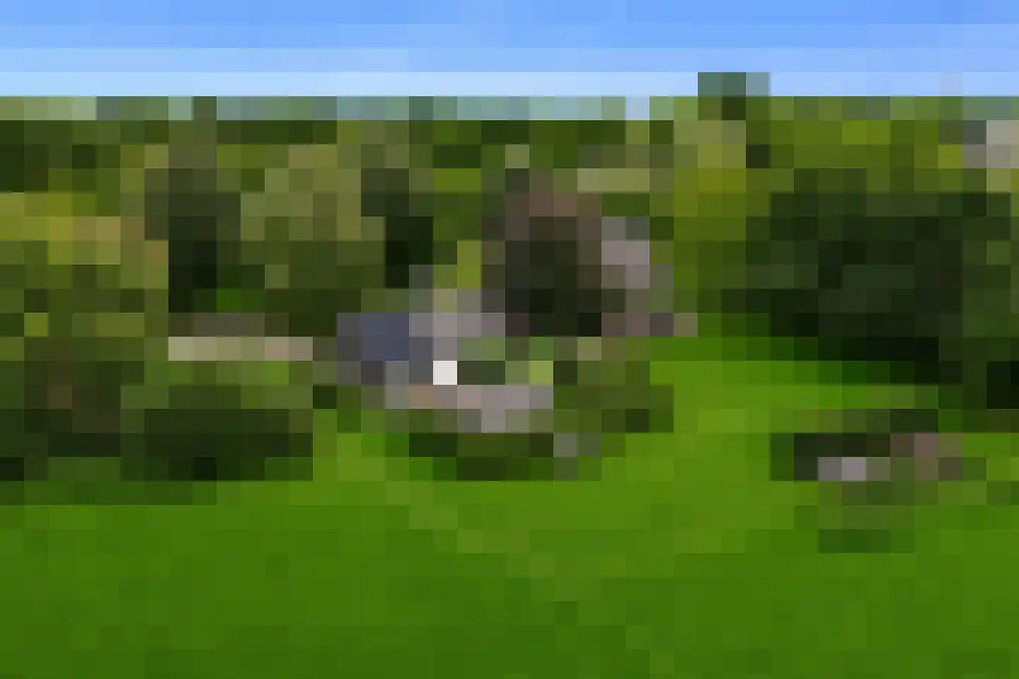 Groenendijk 19 Oosteind thumbnail 39