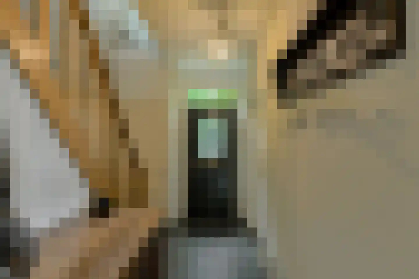 Groenendijk 19 Oosteind thumbnail 4