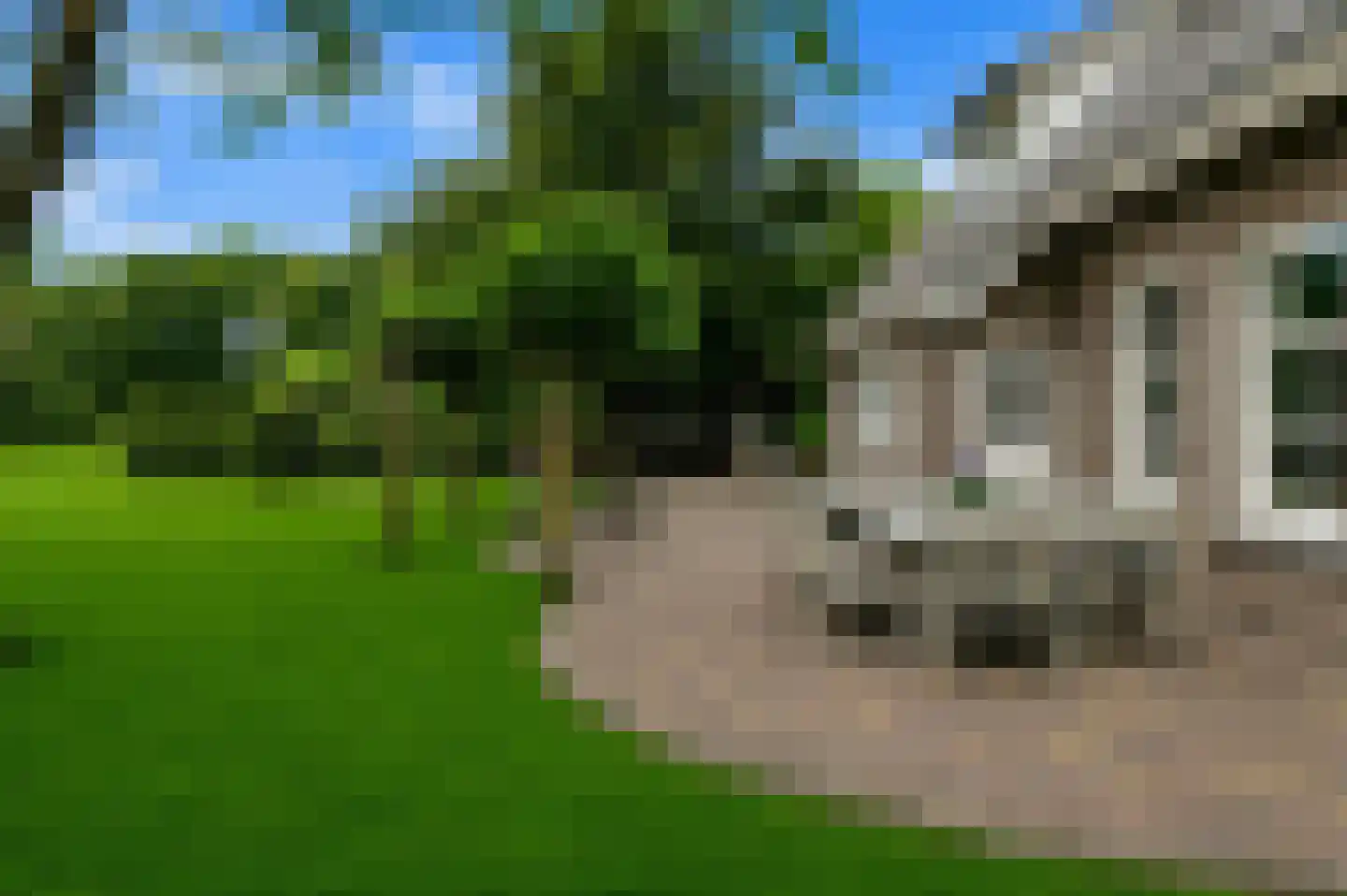 Groenendijk 19 Oosteind thumbnail 41