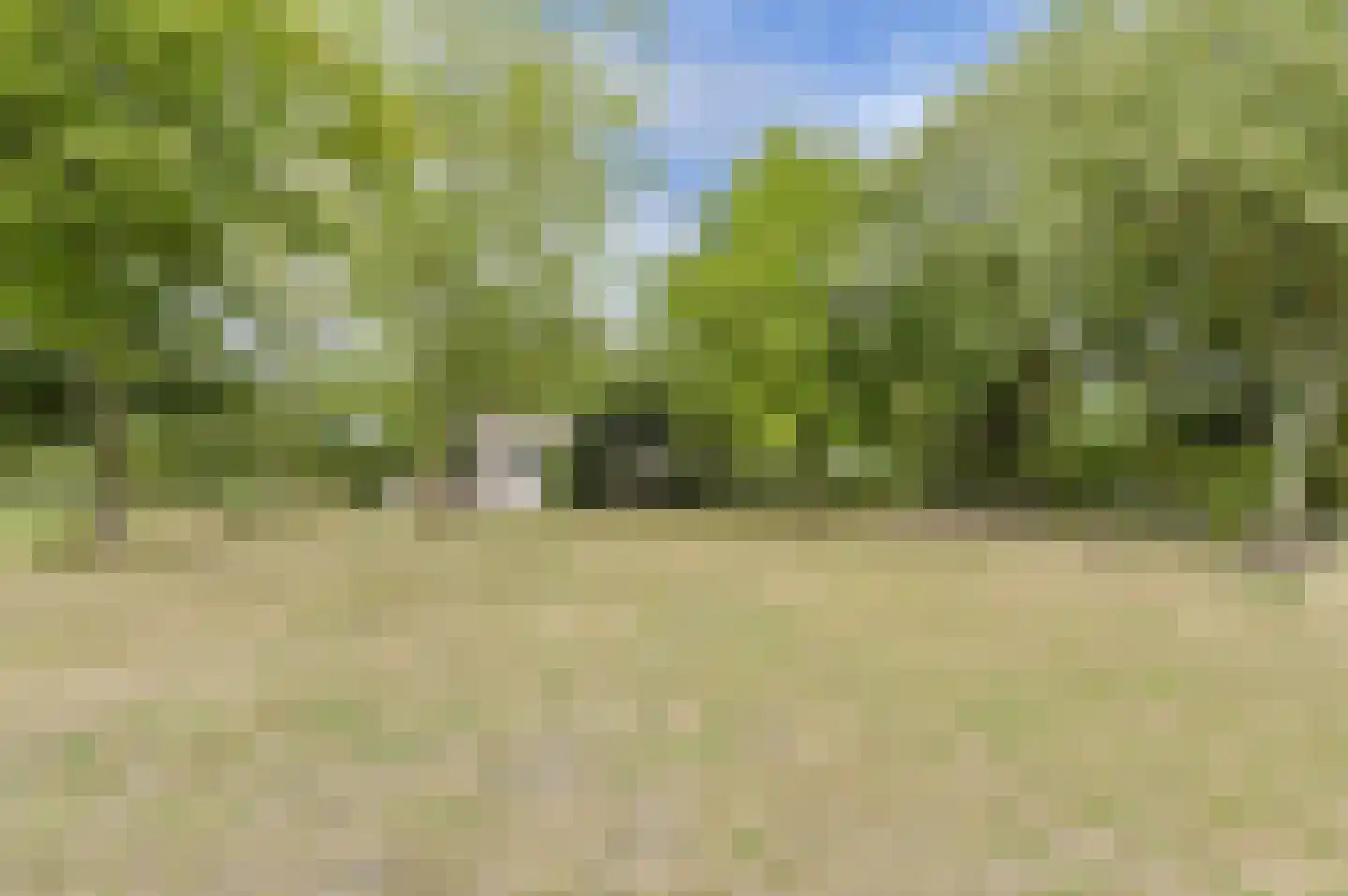 Groenendijk 19 Oosteind thumbnail 44