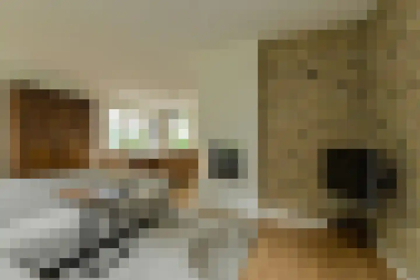 Groenendijk 19 Oosteind thumbnail 8