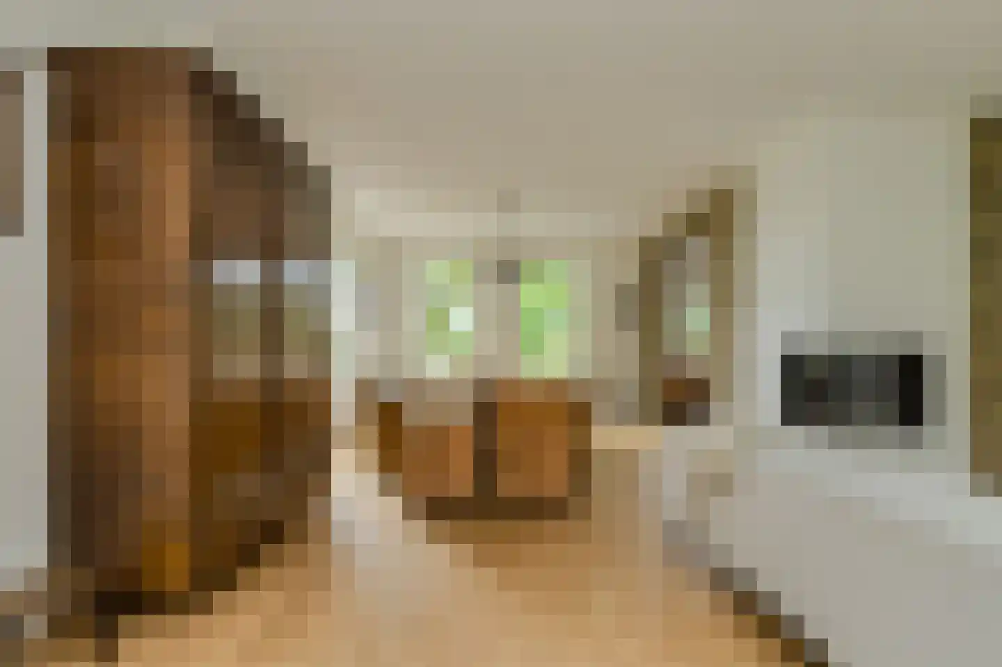 Groenendijk 19 Oosteind thumbnail 9