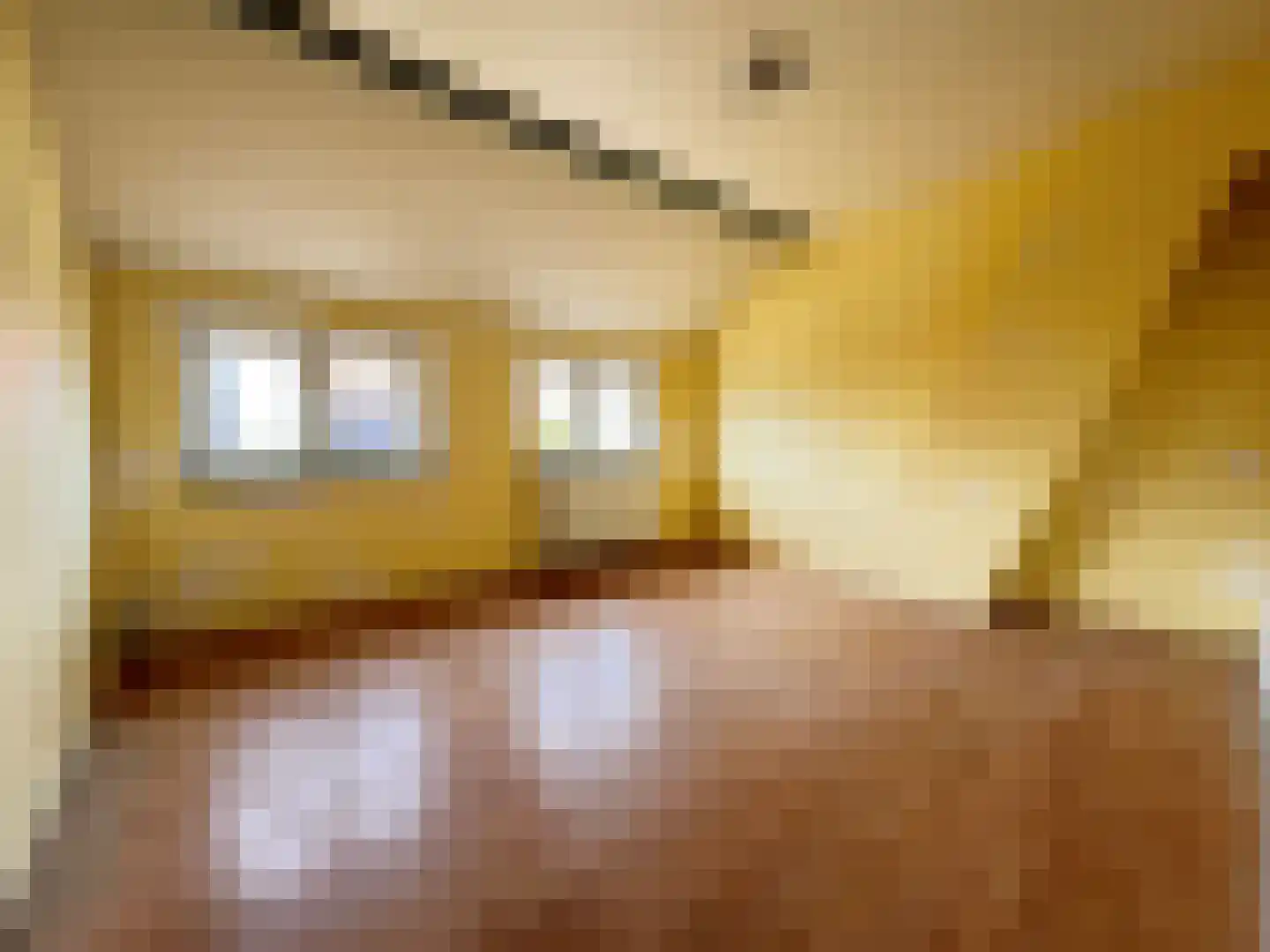 Groenendijk 21 Kloosterzande thumbnail 10