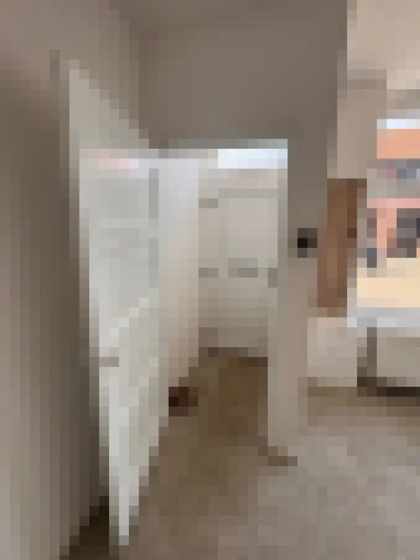 Groenendijk 21 Kloosterzande thumbnail 4