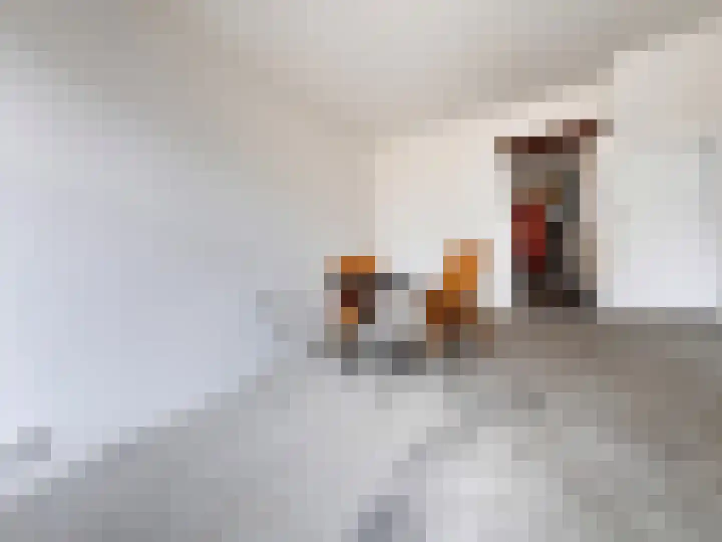 Groenendijk 21 Kloosterzande thumbnail 5