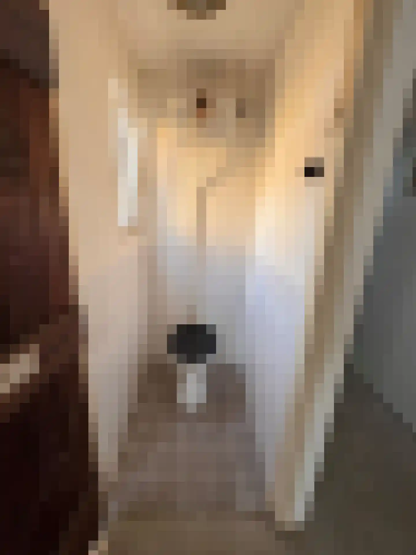 Groenendijk 21 Kloosterzande thumbnail 8
